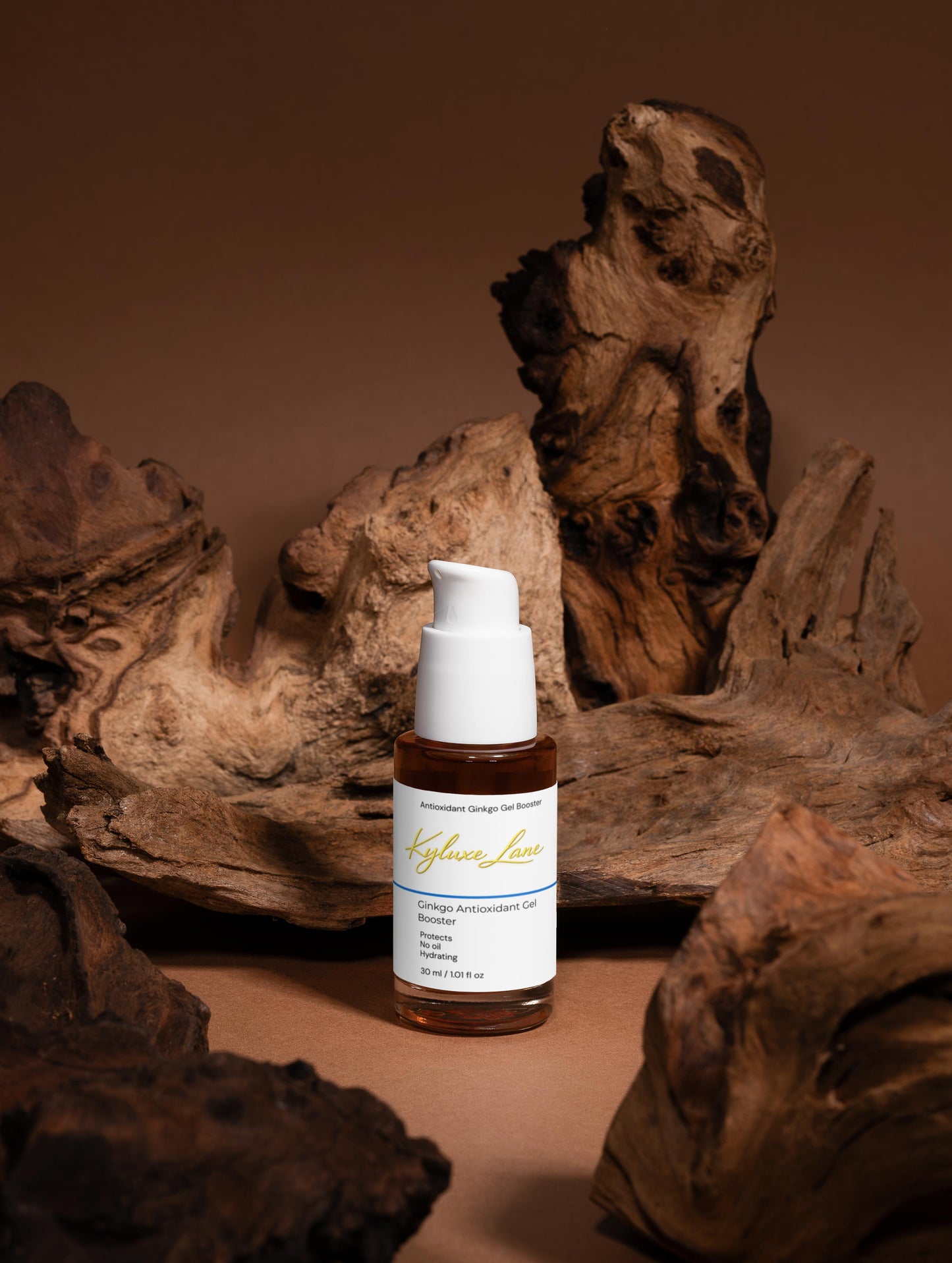 KYLUXE LANE Antioxidant Ginkgo Gel Booster